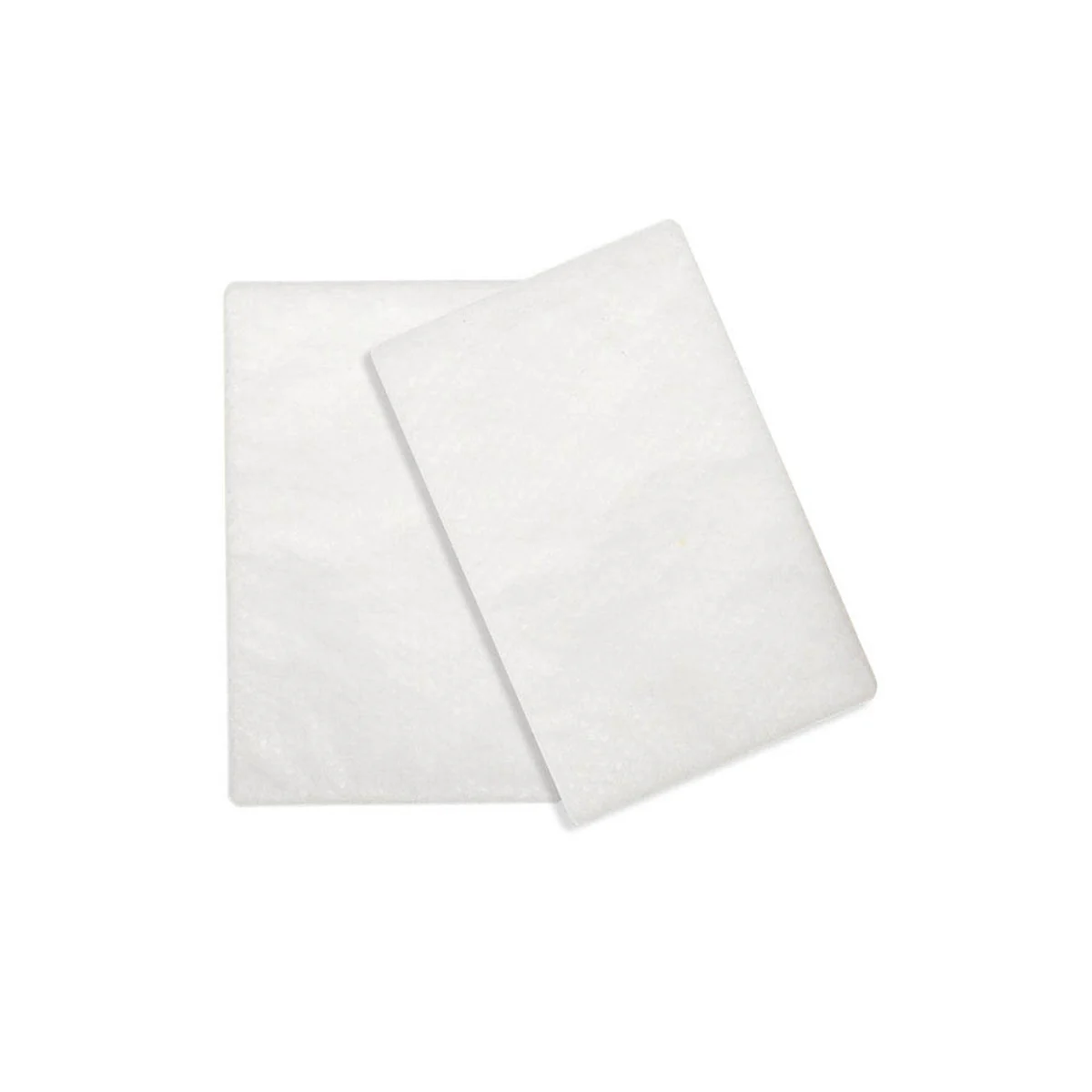 Resmed S9 and AirSense 10 Hypoallergenic Filters
