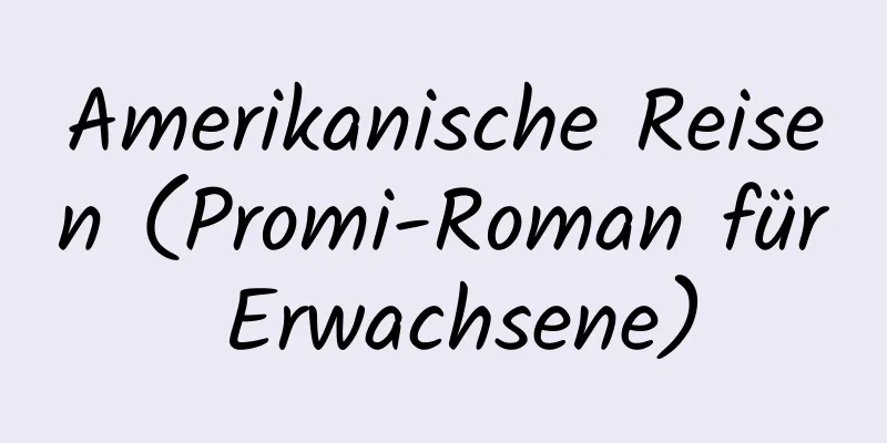 Amerikanische Reisen (Promi-Roman für Erwachsene)