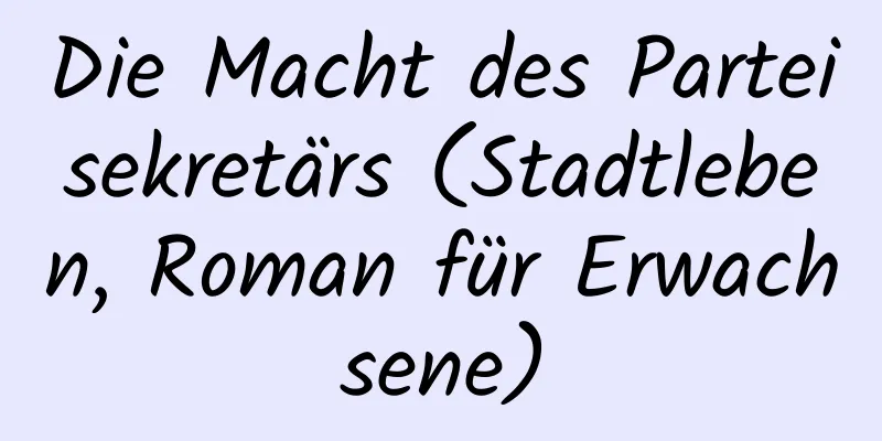 Die Macht des Parteisekretärs (Stadtleben, Roman für Erwachsene)