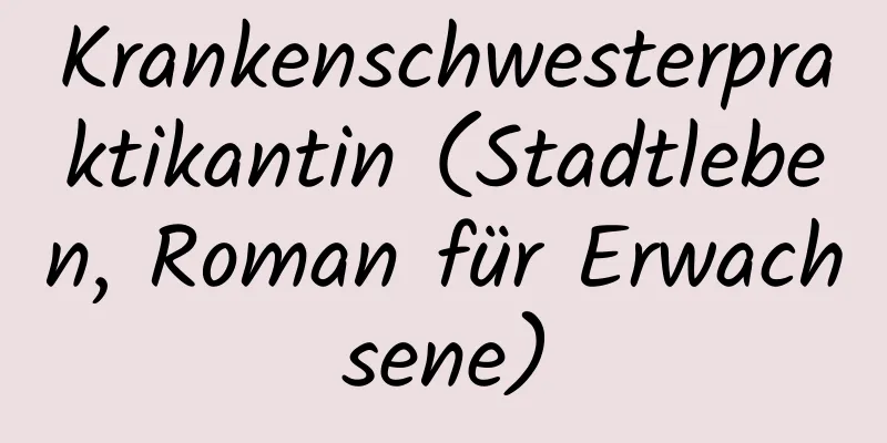 Krankenschwesterpraktikantin (Stadtleben, Roman für Erwachsene)