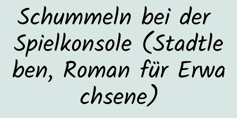 Schummeln bei der Spielkonsole (Stadtleben, Roman für Erwachsene)