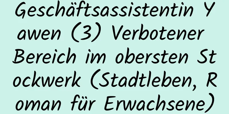 Geschäftsassistentin Yawen (3) Verbotener Bereich im obersten Stockwerk (Stadtleben, Roman für Erwachsene)