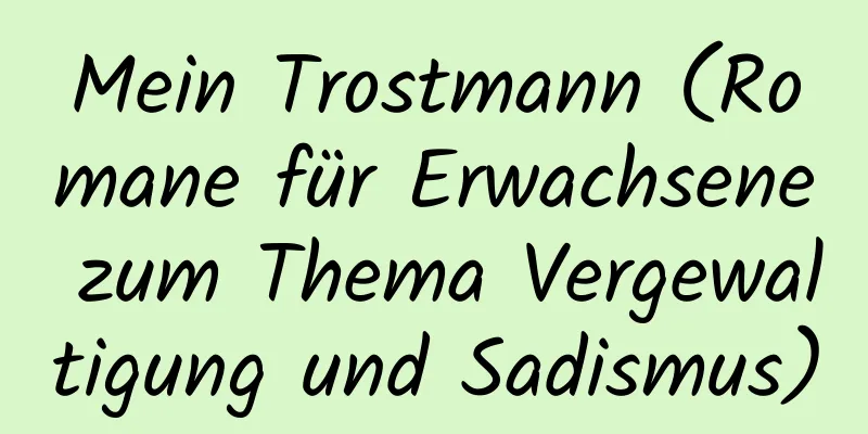 Mein Trostmann (Romane für Erwachsene zum Thema Vergewaltigung und Sadismus)