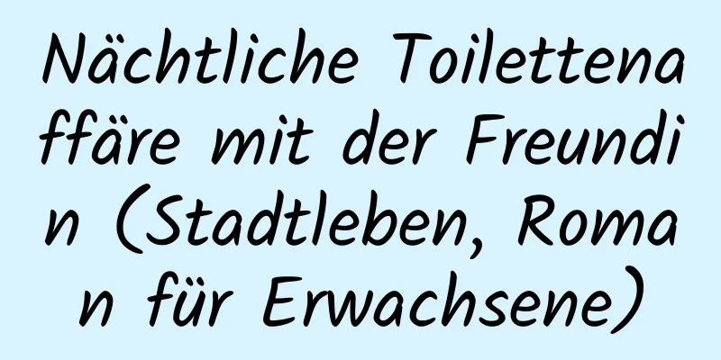 Nächtliche Toilettenaffäre mit der Freundin (Stadtleben, Roman für Erwachsene)