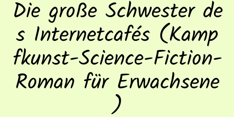 Die große Schwester des Internetcafés (Kampfkunst-Science-Fiction-Roman für Erwachsene)