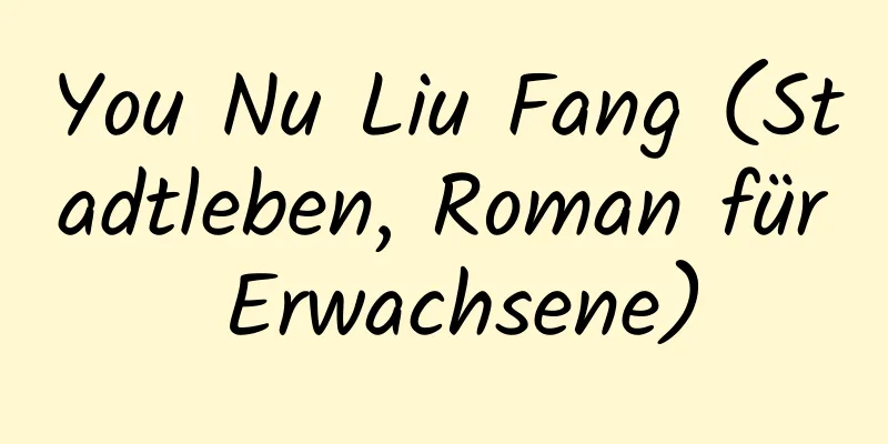 You Nu Liu Fang (Stadtleben, Roman für Erwachsene)