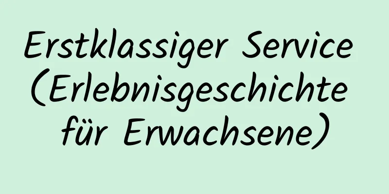 Erstklassiger Service (Erlebnisgeschichte für Erwachsene)