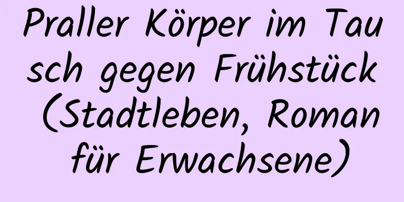 Praller Körper im Tausch gegen Frühstück (Stadtleben, Roman für Erwachsene)