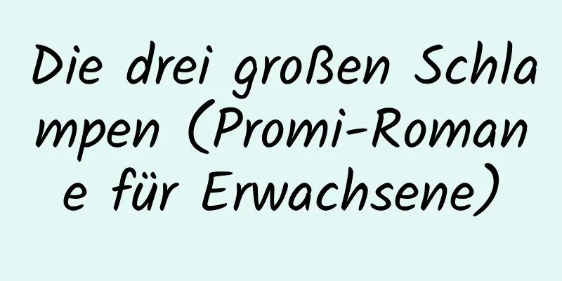 Die drei großen Schlampen (Promi-Romane für Erwachsene)