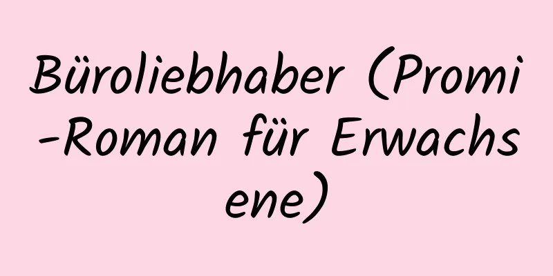 Büroliebhaber (Promi-Roman für Erwachsene)