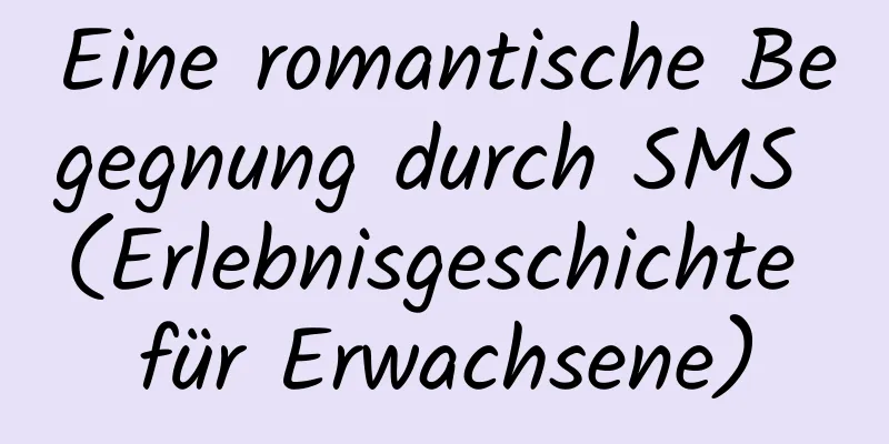 Eine romantische Begegnung durch SMS (Erlebnisgeschichte für Erwachsene)