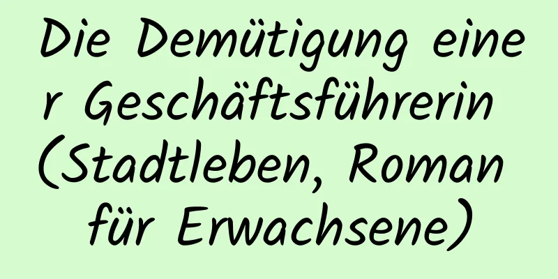 Die Demütigung einer Geschäftsführerin (Stadtleben, Roman für Erwachsene)