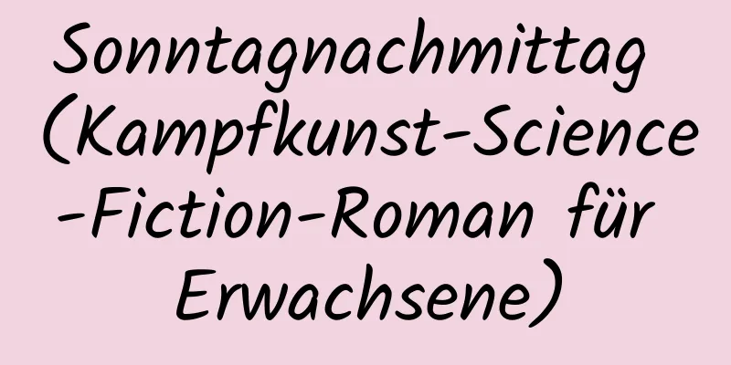 Sonntagnachmittag (Kampfkunst-Science-Fiction-Roman für Erwachsene)