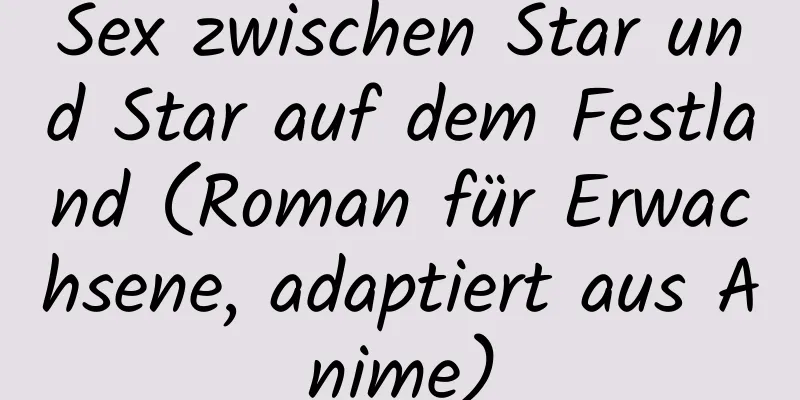 Sex zwischen Star und Star auf dem Festland (Roman für Erwachsene, adaptiert aus Anime)