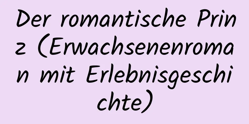 Der romantische Prinz (Erwachsenenroman mit Erlebnisgeschichte)