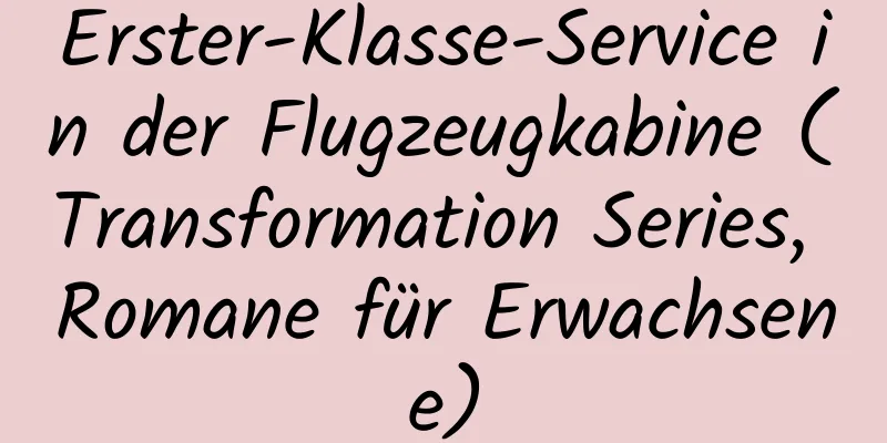 Erster-Klasse-Service in der Flugzeugkabine (Transformation Series, Romane für Erwachsene)