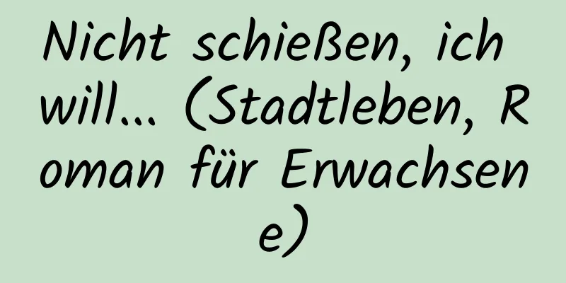 Nicht schießen, ich will... (Stadtleben, Roman für Erwachsene)