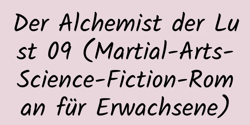 Der Alchemist der Lust 09 (Martial-Arts-Science-Fiction-Roman für Erwachsene)