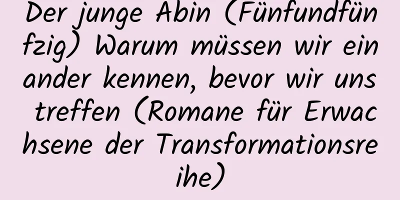 Der junge Abin (Fünfundfünfzig) Warum müssen wir einander kennen, bevor wir uns treffen (Romane für Erwachsene der Transformationsreihe)