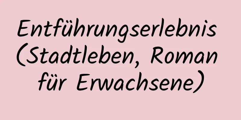 Entführungserlebnis (Stadtleben, Roman für Erwachsene)