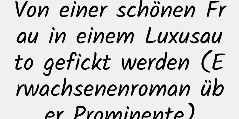 Von einer schönen Frau in einem Luxusauto gefickt werden (Erwachsenenroman über Prominente)