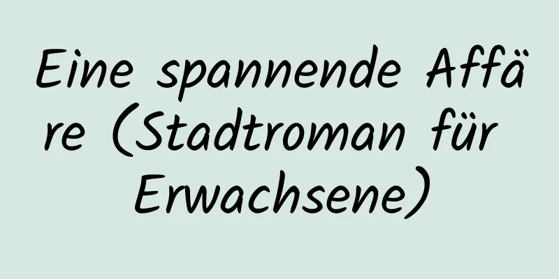 Eine spannende Affäre (Stadtroman für Erwachsene)