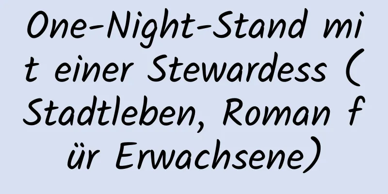 One-Night-Stand mit einer Stewardess (Stadtleben, Roman für Erwachsene)