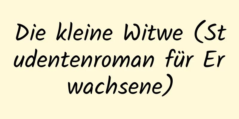 Die kleine Witwe (Studentenroman für Erwachsene)