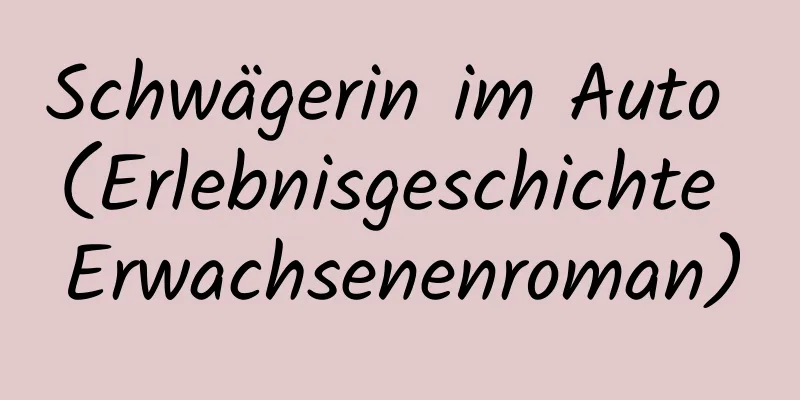 Schwägerin im Auto (Erlebnisgeschichte Erwachsenenroman)