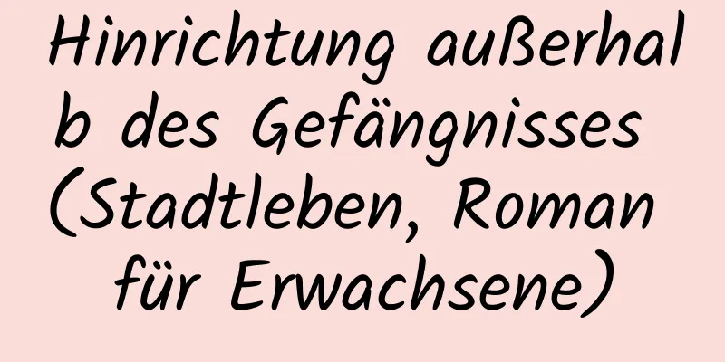 Hinrichtung außerhalb des Gefängnisses (Stadtleben, Roman für Erwachsene)