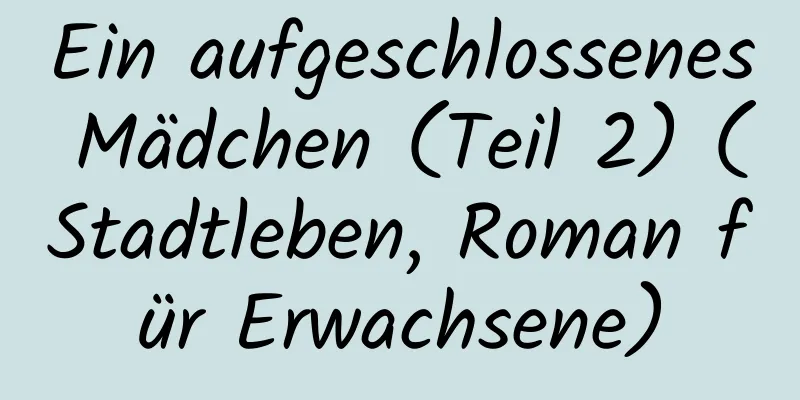 Ein aufgeschlossenes Mädchen (Teil 2) (Stadtleben, Roman für Erwachsene)