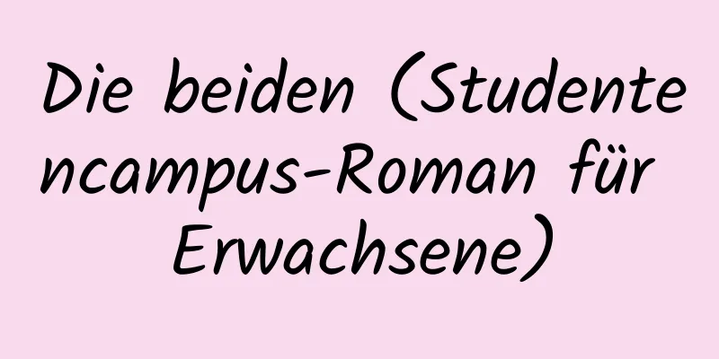 Die beiden (Studentencampus-Roman für Erwachsene)