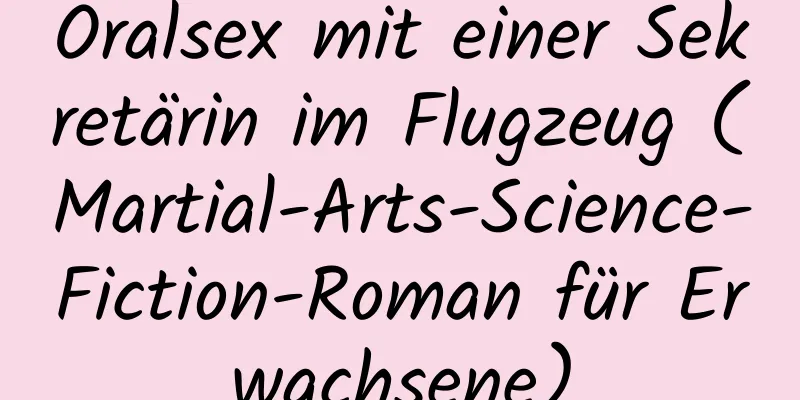 Oralsex mit einer Sekretärin im Flugzeug (Martial-Arts-Science-Fiction-Roman für Erwachsene)