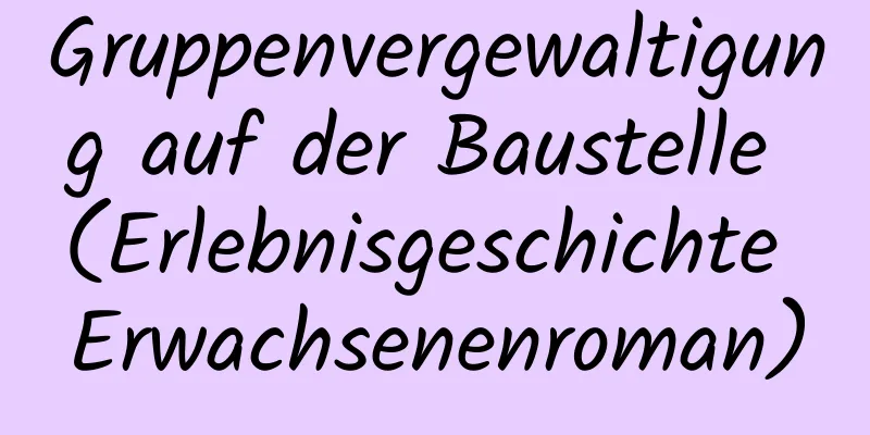 Gruppenvergewaltigung auf der Baustelle (Erlebnisgeschichte Erwachsenenroman)