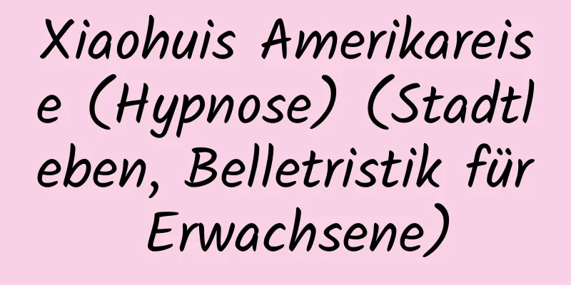 Xiaohuis Amerikareise (Hypnose) (Stadtleben, Belletristik für Erwachsene)