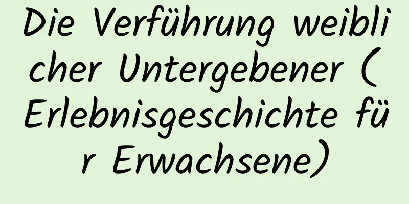 Die Verführung weiblicher Untergebener (Erlebnisgeschichte für Erwachsene)