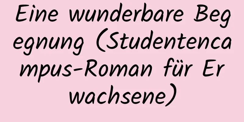 Eine wunderbare Begegnung (Studentencampus-Roman für Erwachsene)