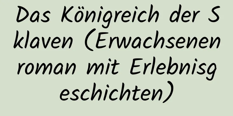 Das Königreich der Sklaven (Erwachsenenroman mit Erlebnisgeschichten)