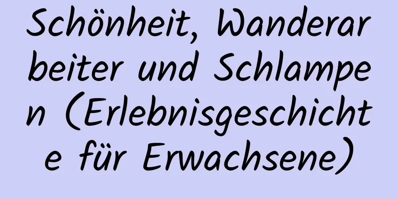 Schönheit, Wanderarbeiter und Schlampen (Erlebnisgeschichte für Erwachsene)