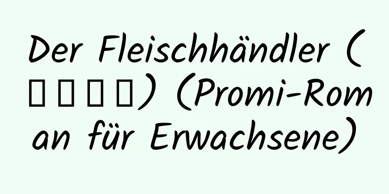 Der Fleischhändler (レイプ商) (Promi-Roman für Erwachsene)