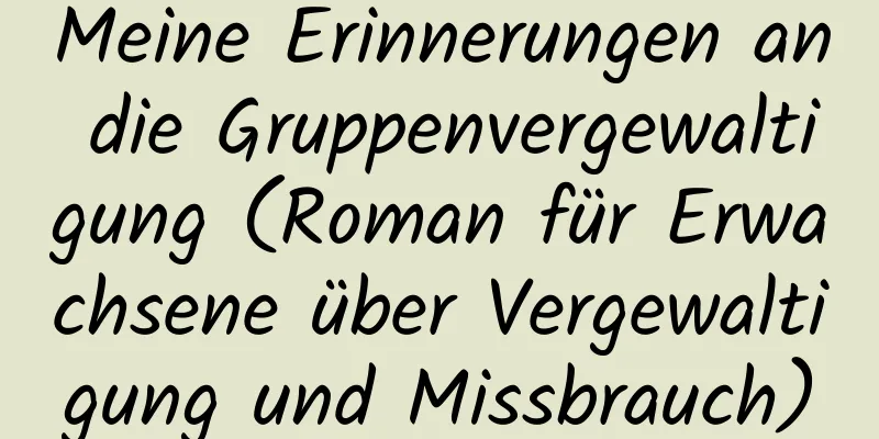 Meine Erinnerungen an die Gruppenvergewaltigung (Roman für Erwachsene über Vergewaltigung und Missbrauch)