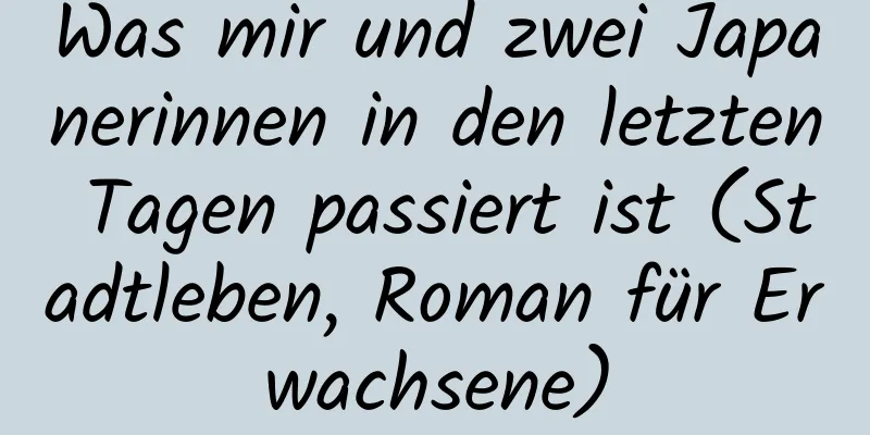 Was mir und zwei Japanerinnen in den letzten Tagen passiert ist (Stadtleben, Roman für Erwachsene)