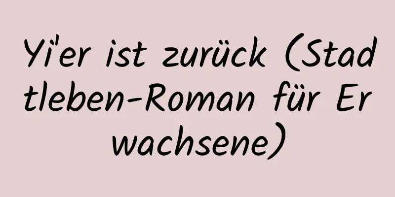 Yi'er ist zurück (Stadtleben-Roman für Erwachsene)