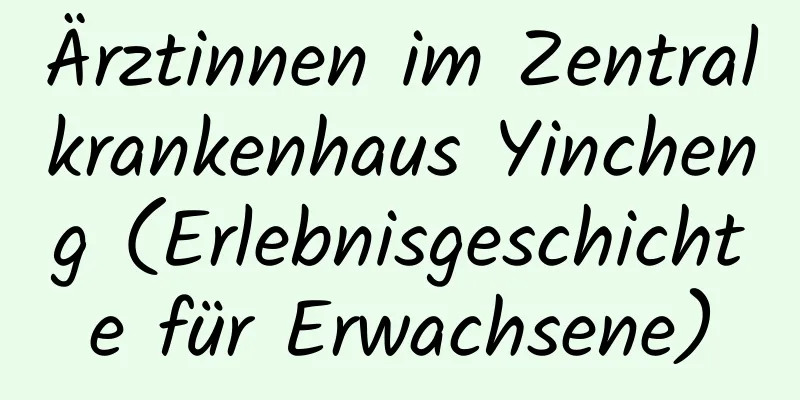 Ärztinnen im Zentralkrankenhaus Yincheng (Erlebnisgeschichte für Erwachsene)