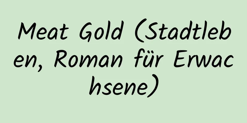 Meat Gold (Stadtleben, Roman für Erwachsene)