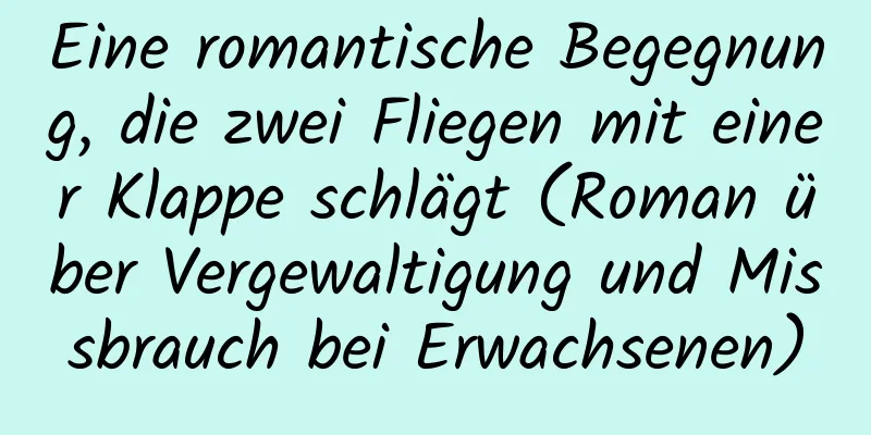 Eine romantische Begegnung, die zwei Fliegen mit einer Klappe schlägt (Roman über Vergewaltigung und Missbrauch bei Erwachsenen)