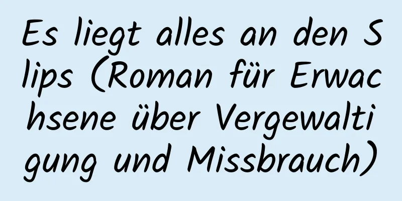 Es liegt alles an den Slips (Roman für Erwachsene über Vergewaltigung und Missbrauch)