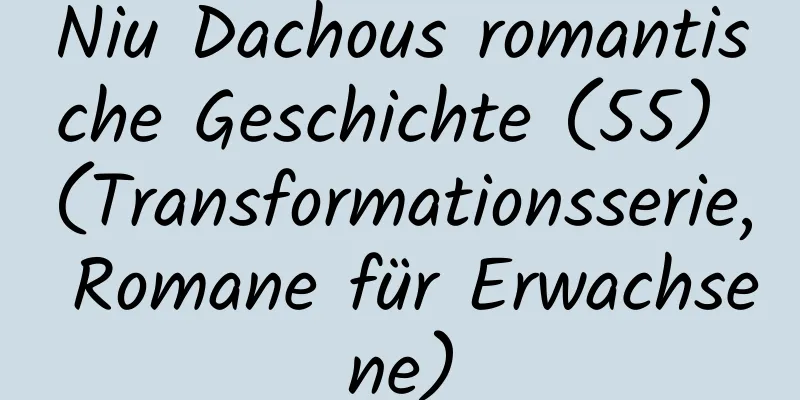 Niu Dachous romantische Geschichte (55) (Transformationsserie, Romane für Erwachsene)