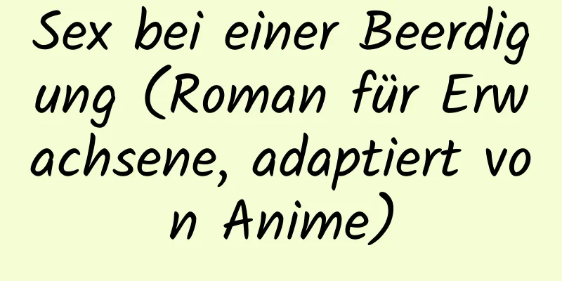 Sex bei einer Beerdigung (Roman für Erwachsene, adaptiert von Anime)