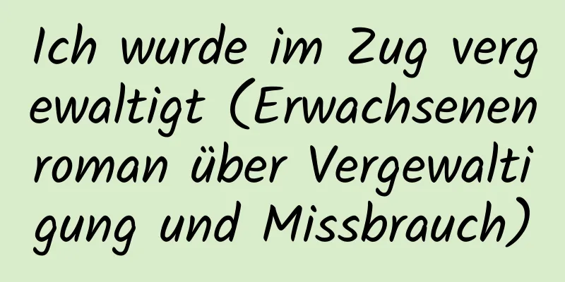 Ich wurde im Zug vergewaltigt (Erwachsenenroman über Vergewaltigung und Missbrauch)